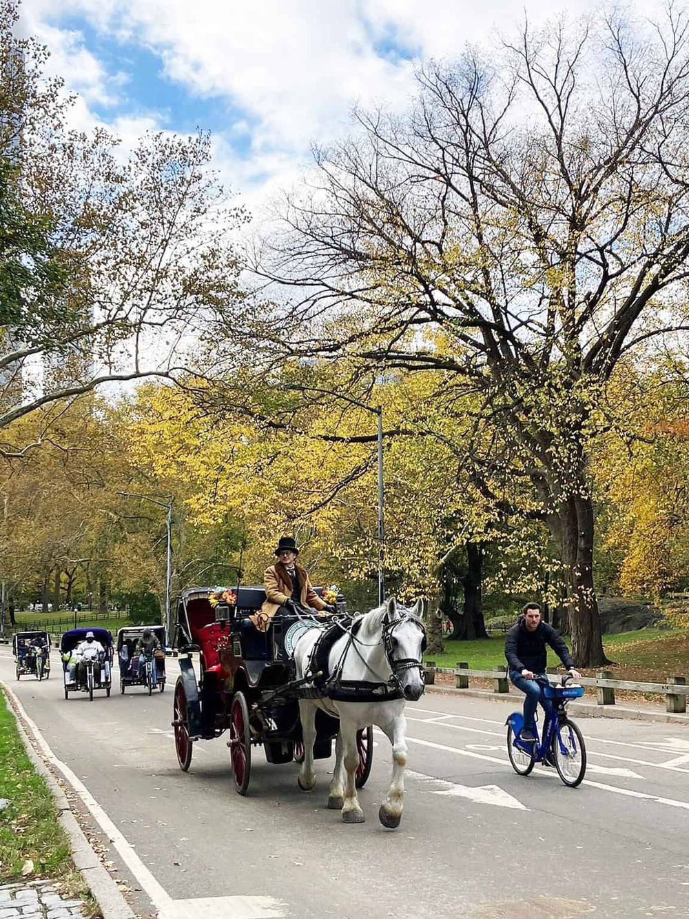 Horse-drawn carriage rides in a scenic park with colorful autumn trees, ideal for tourist city excursions and outdoor activities.