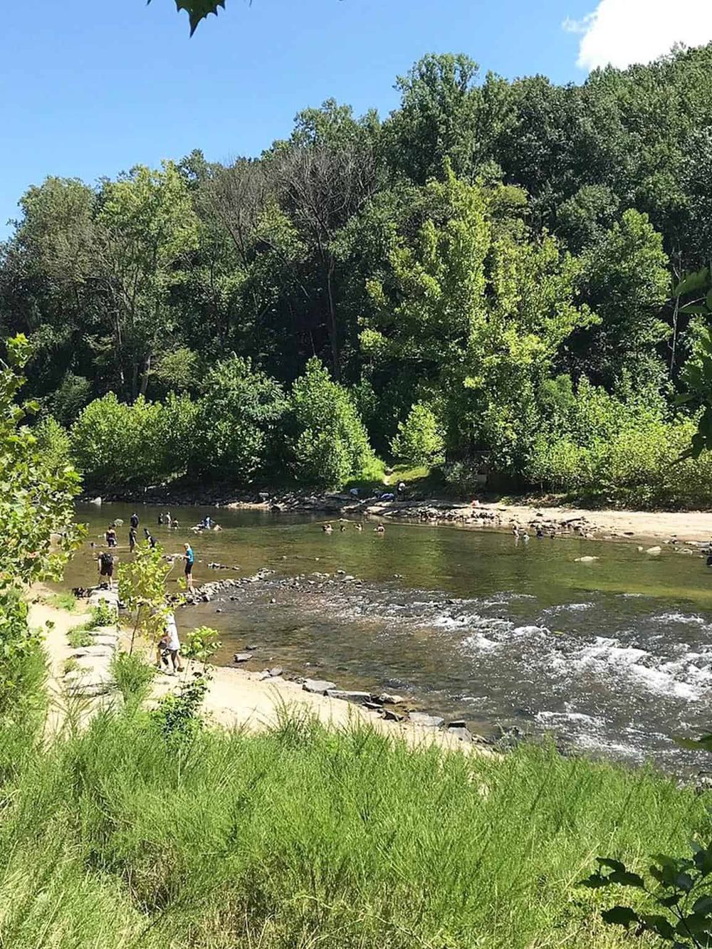 Scenic river with people swimming and relaxing surrounded by lush green trees and a blue sky, perfect for outdoor adventures and nature exploration.