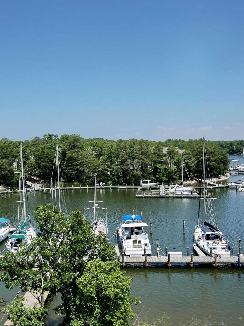 Scenic marina with boats, lush greenery, and calm waters, perfect for waterfront living and boating adventures.