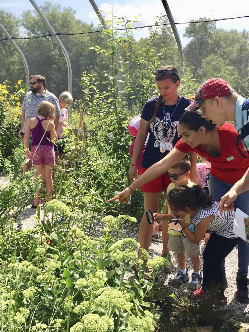Brightly lit community garden tour with diverse group exploring plants and flowers, engaging in educational outdoor activity.