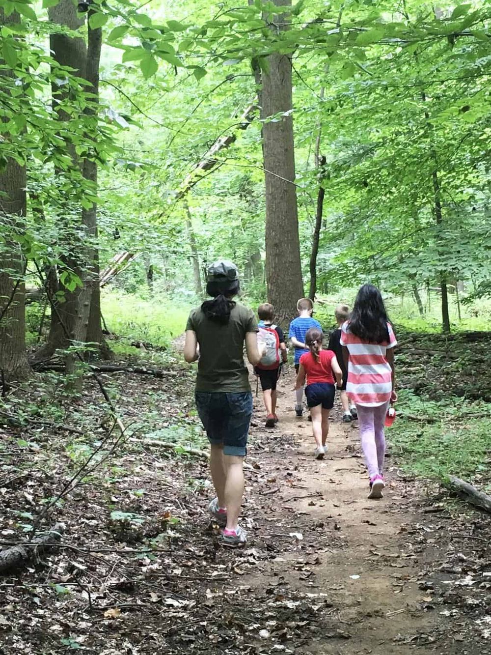 Children hiking on a forest trail in a lush green park for outdoor adventure.