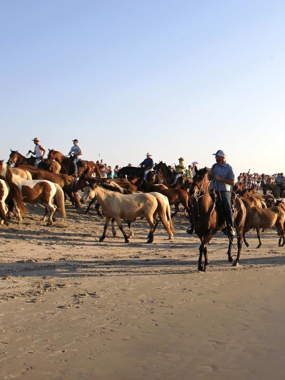 Horseback riding at the beach during a sunny day, featuring groups of riders and horses on sandy terrain.