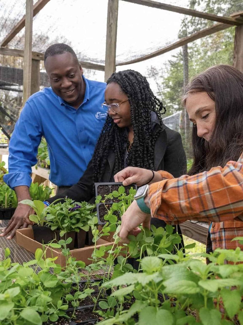Gardening workshop at QuestForDirections, promoting sustainable plant growth and community engagement.