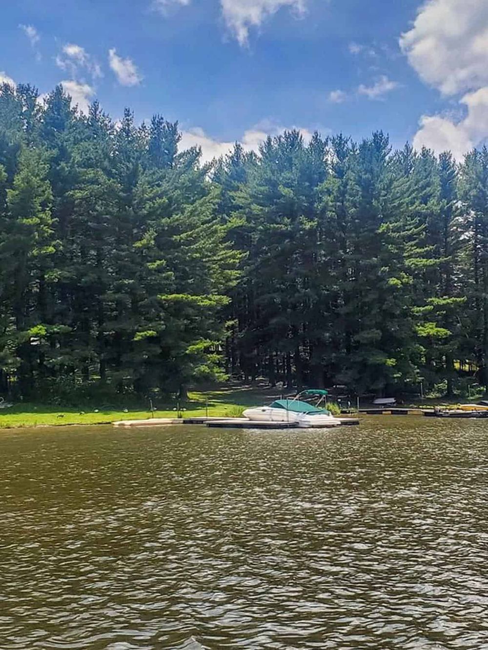 Tranquil lake with dock and boat, surrounded by lush pine trees and clear blue sky, perfect for outdoor recreation.