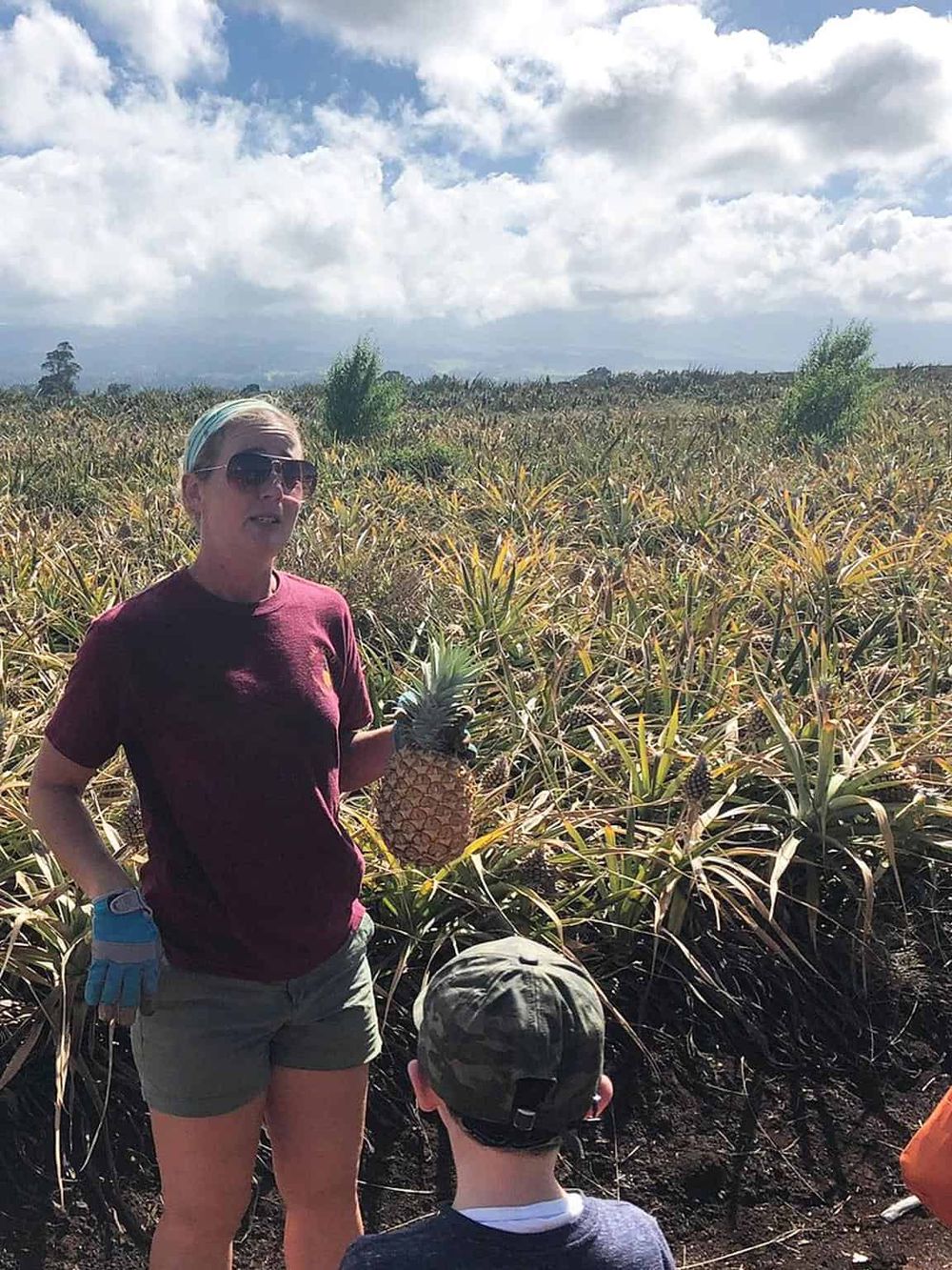 Pineapple farm tour with a guide holding a ripe pineapple in a lush plantation.