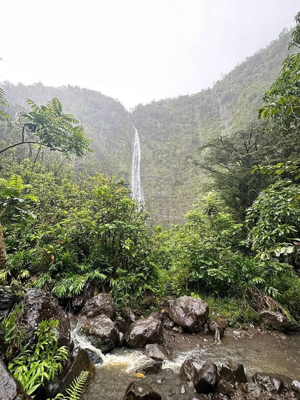 Lush green jungle with waterfall waterfall cascading down mountain, scenic nature travel destination.