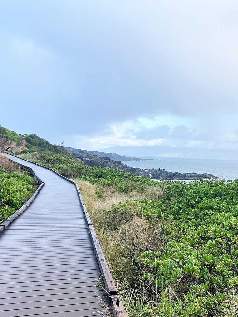 Scenic coastal boardwalk surrounded by lush green vegetation and ocean views.