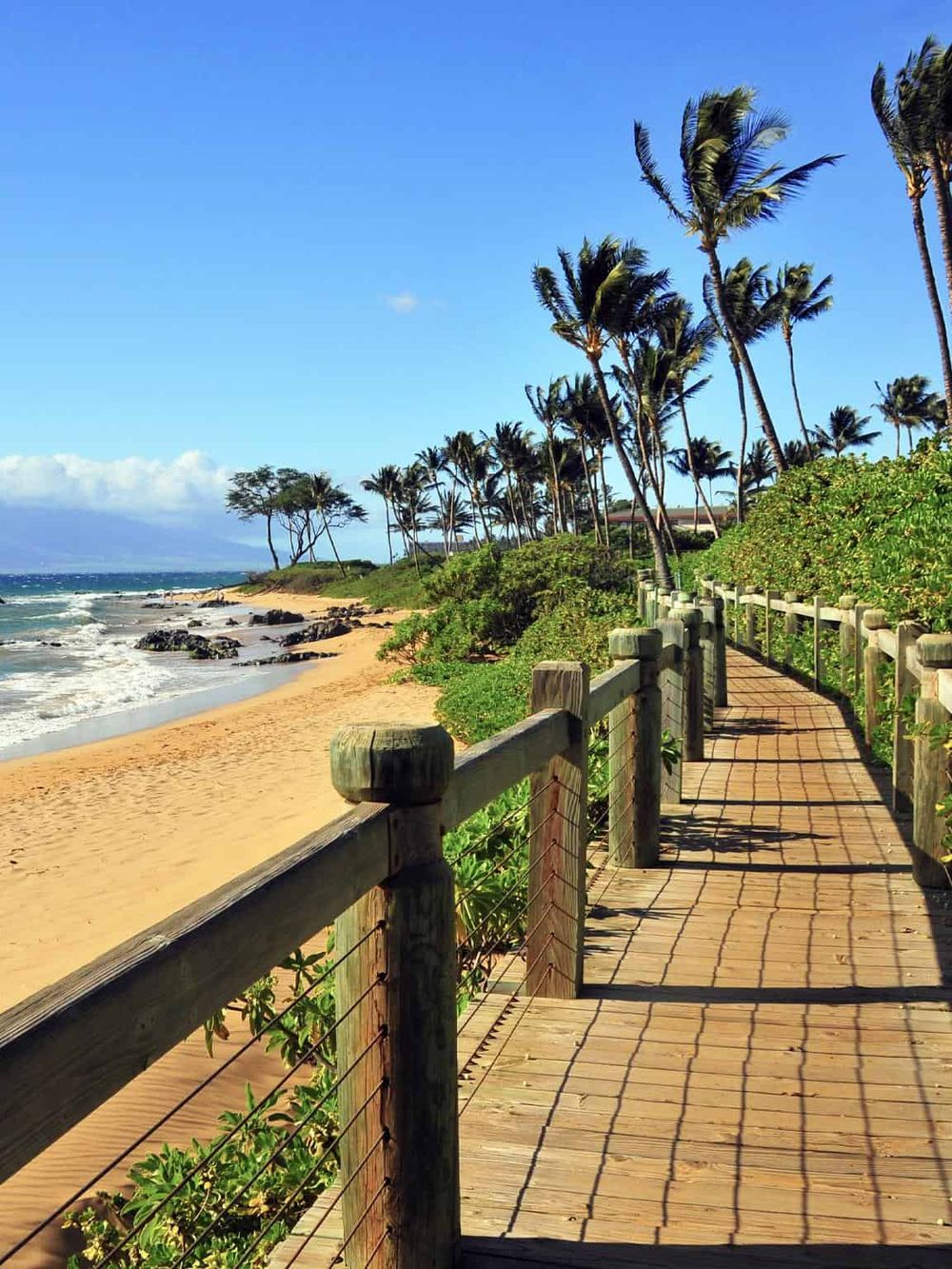 Scenic beachfront walkway with palm trees and ocean view, perfect for tropical travel and beach adventures.