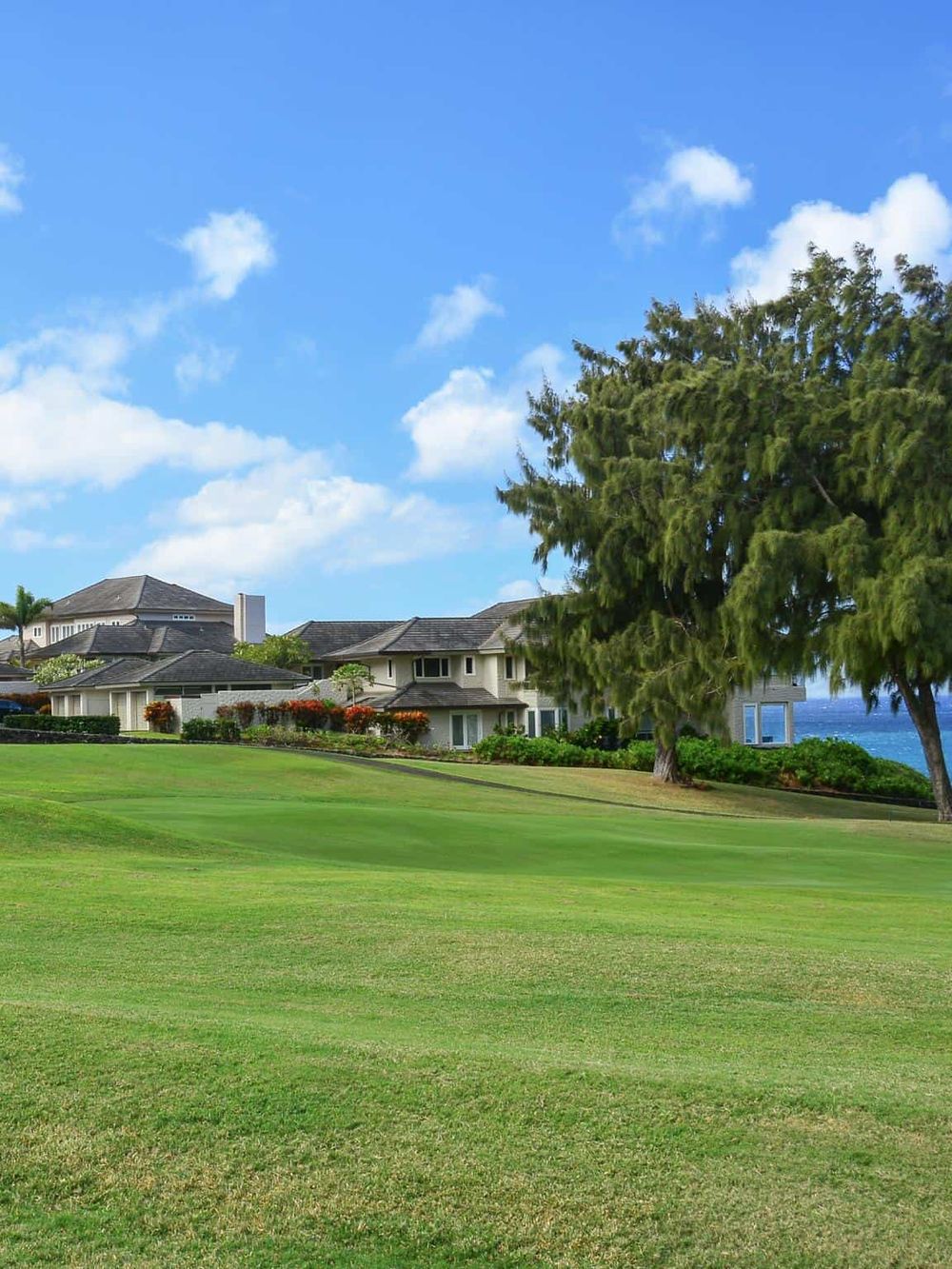 Beautiful ocean view residential neighborhood with lush green lawn and large trees.
