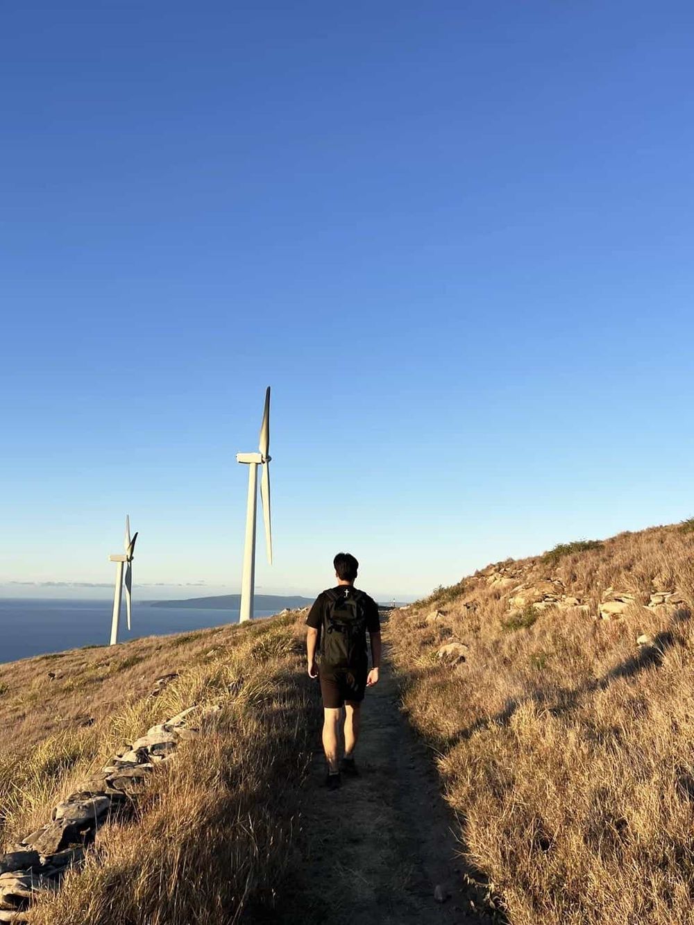 Wind turbine wind farm scenic landscape for renewable energy and environmental sustainability.