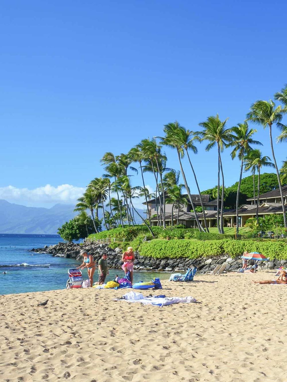 Idyllic Hawaiian beach with palm trees, ocean views, and people enjoying sunny day relaxation.