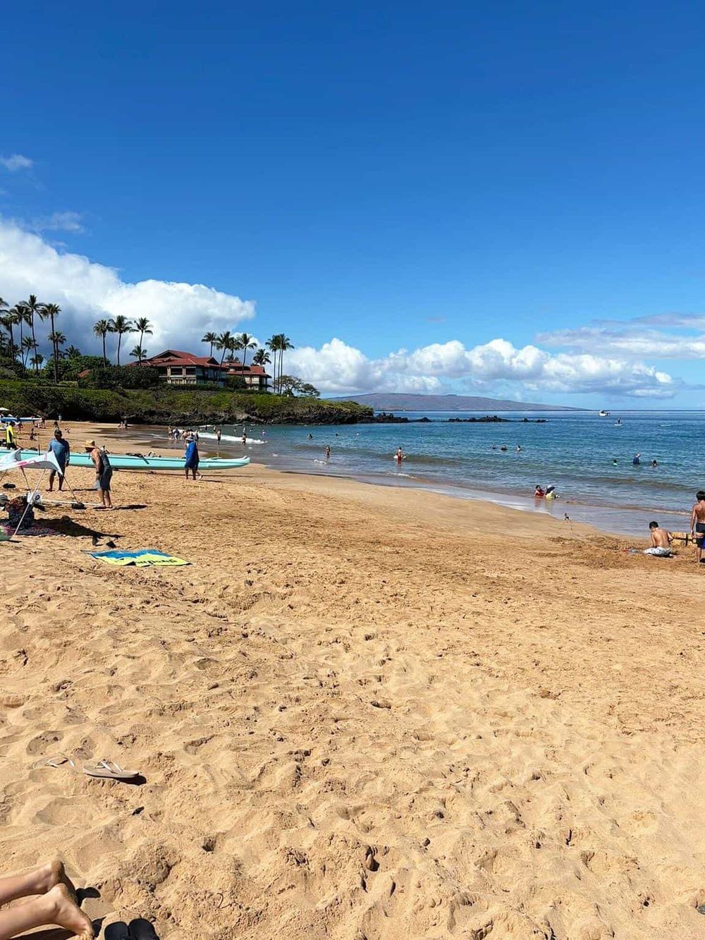 Bright sunny beach scene with palm trees, sandy shore, and calm ocean waters, ideal for travel and vacation planning.