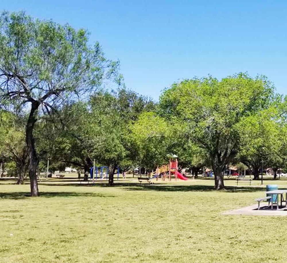 Vibrant park scene with lush green trees, playground, and benches under clear blue sky, perfect for outdoor family activities.