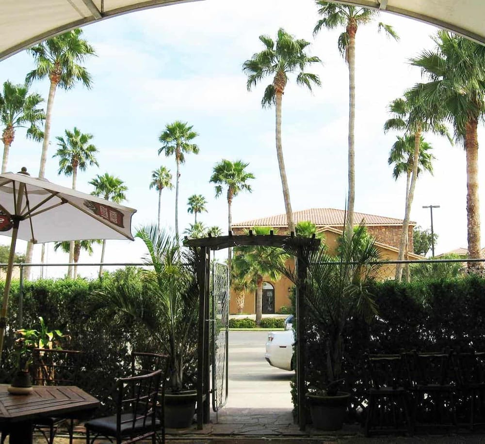 Tropical outdoor patio with palm trees, lush greenery, and seating area, perfect for relaxing and enjoying the sunshine.