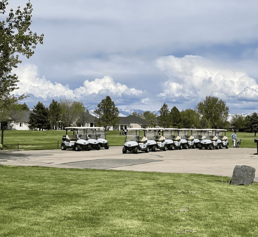 Golf carts parked on a golf course with lush green grass, trees, and scenic mountain views in the background.