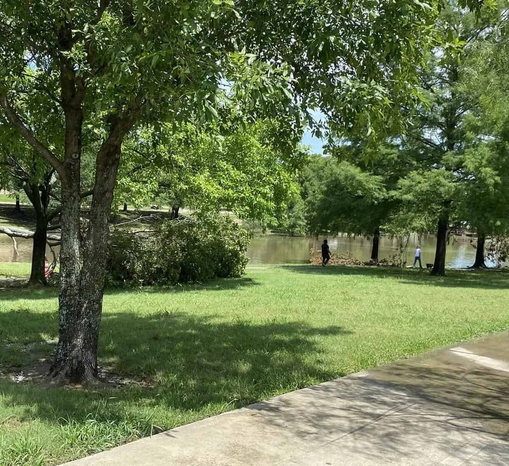 Lush park riverside with trees, grass, and walking paths for outdoor recreation.