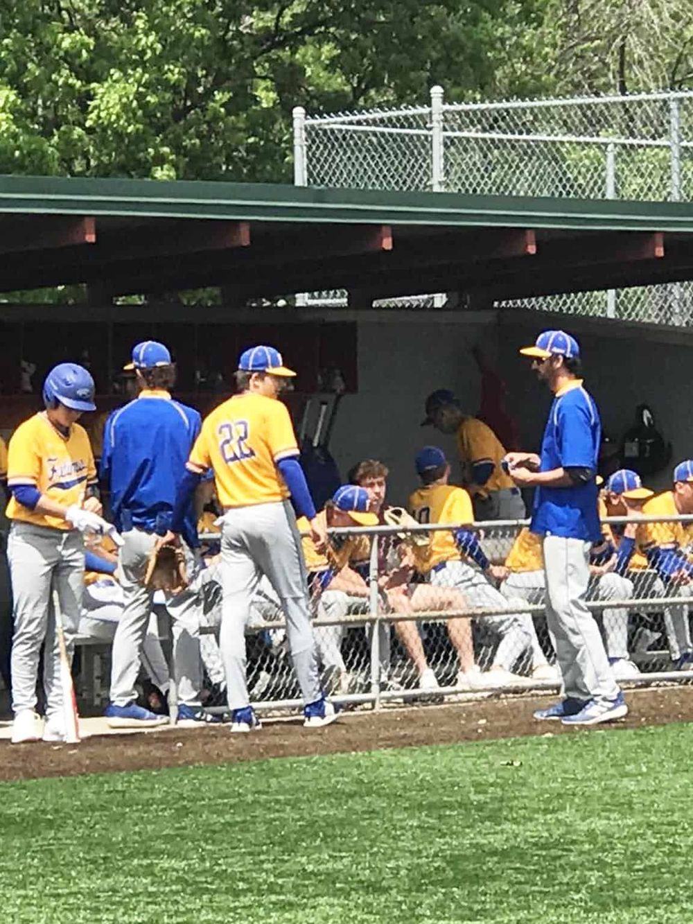 Young baseball players in yellow and blue uniforms on team bench during game.