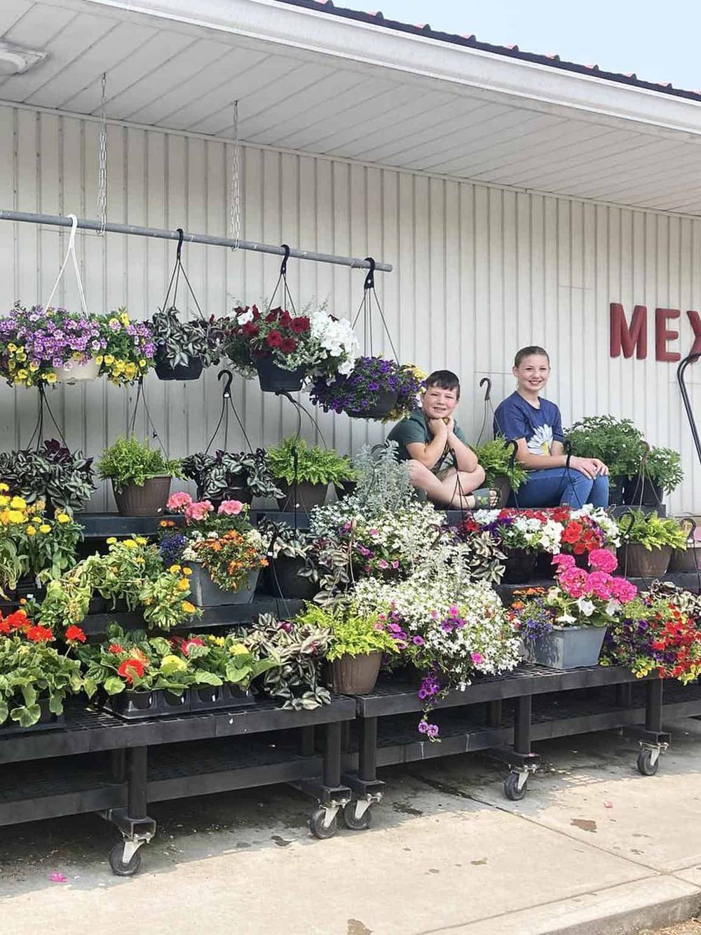 Colorful flower display at a nursery with children sitting among hanging and potted plants.