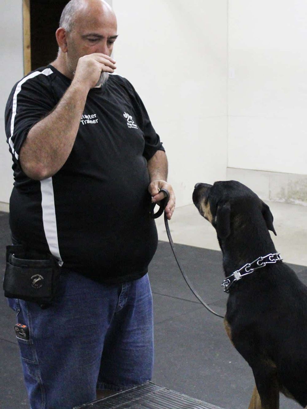 Guide dog training session at QuestForDirections training facility.