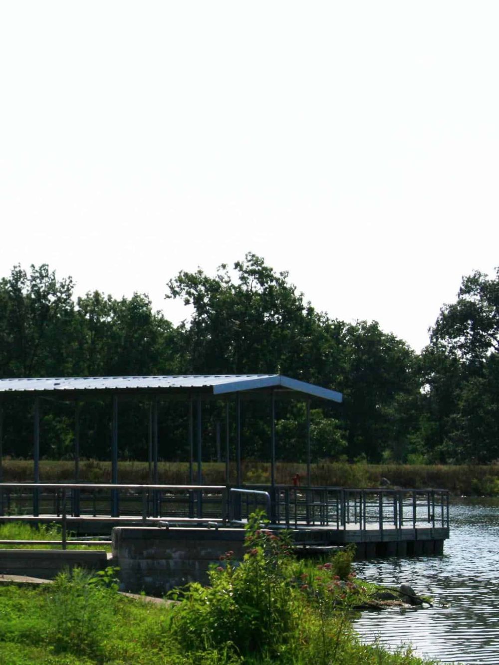 Serene lake dock area with lush greenery and trees, perfect for peaceful outdoor activities and navigation.