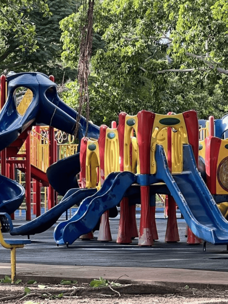 Colorful playground slides and climbing structures in a scenic outdoor park with lush green trees.
