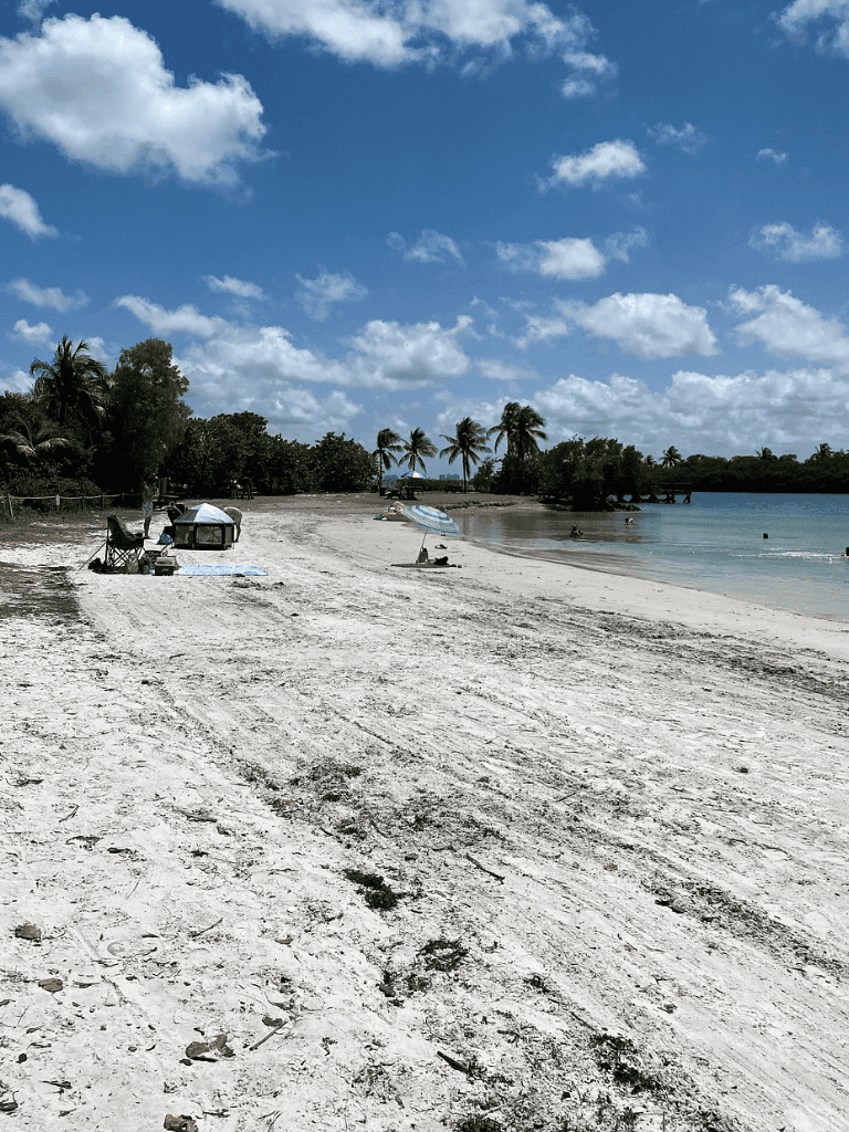 Relaxing beach with palm trees, umbrellas, and clear water, ideal for vacation and scenic seaside exploration.
