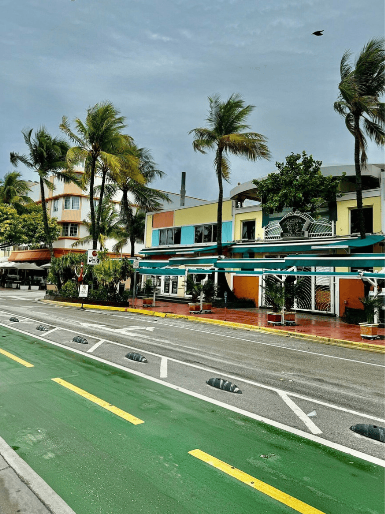 Colorful tropical street scene with palm trees and vibrant buildings, perfect for travel planning and directions.
