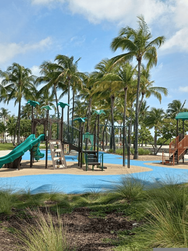Colorful tropical outdoor playground with palm trees and slides for children.