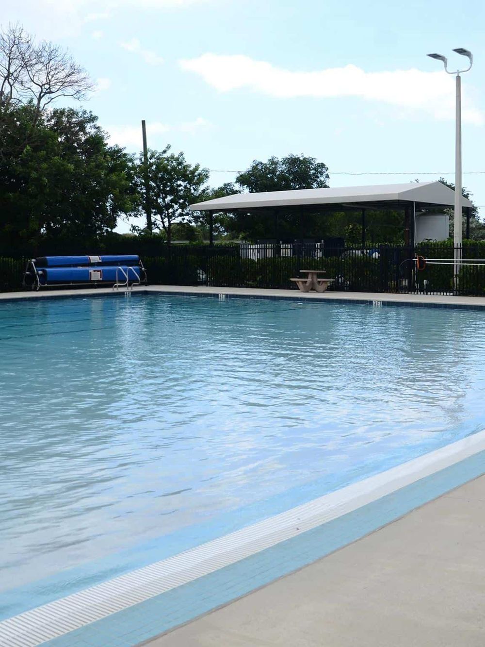 Clear pool area at QuestForDirections with lush greenery, providing a relaxing environment.