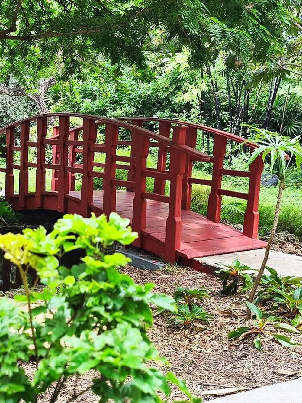 Scenic garden with a small red wooden bridge, lush green foliage, perfect for nature walks and relaxing outdoor spaces.