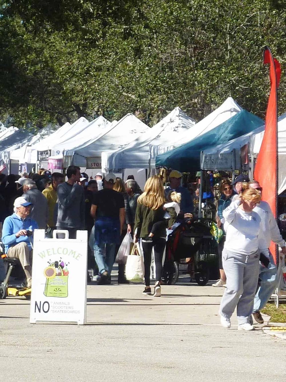 Vibrant outdoor farmer's market with diverse vendors and shoppers amidst lush trees, promoting local produce and community engagement.