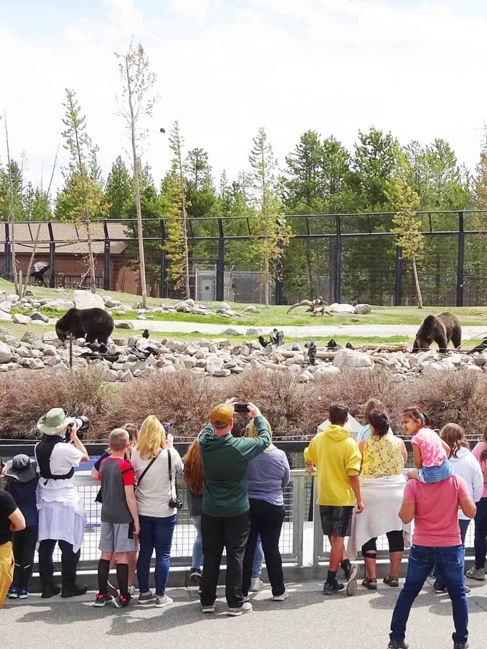 Majestic wildlife at QuestForDirections zoo, visitors enjoying animal viewing and nature exploration.