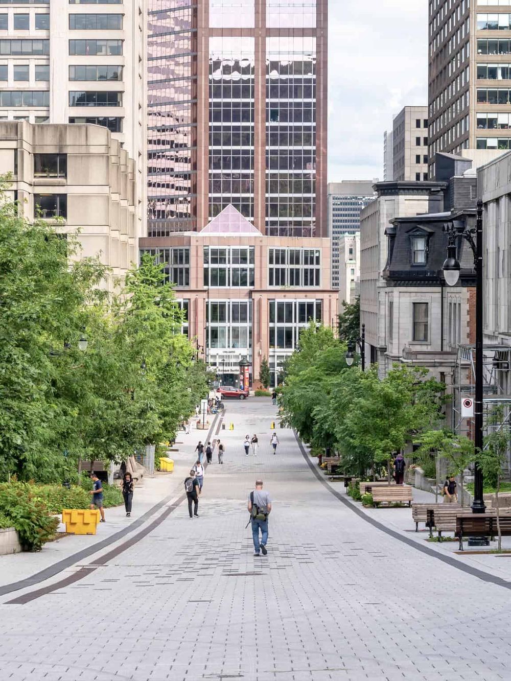 Modern urban cityscape with skyscrapers, pedestrian walkway, and green trees, highlighting city navigation and direction services.