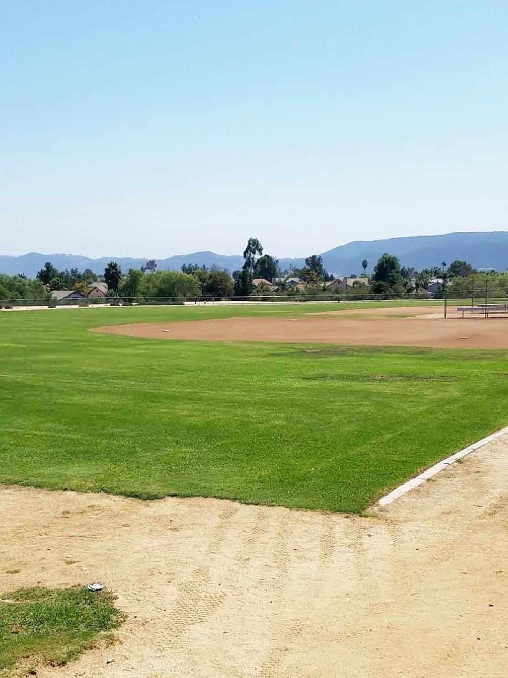 Bright sunny baseball field with lush green grass and a clear blue sky, perfect for sports and outdoor activities.