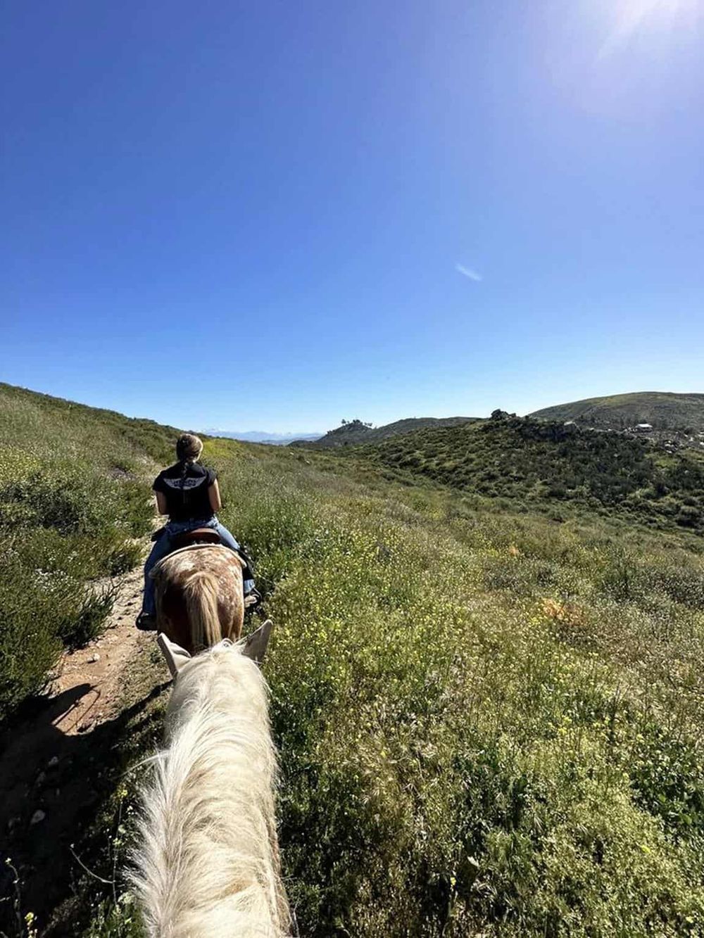 Horseback riding trail through scenic green hills and bright blue sky, outdoor adventure with QuestForDirections.