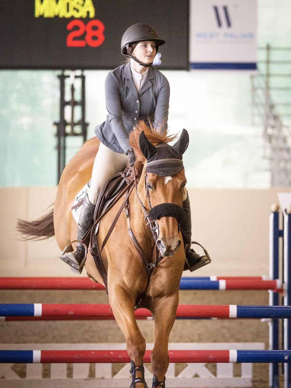 Elegant female equestrian rider jumping over obstacle in indoor arena.