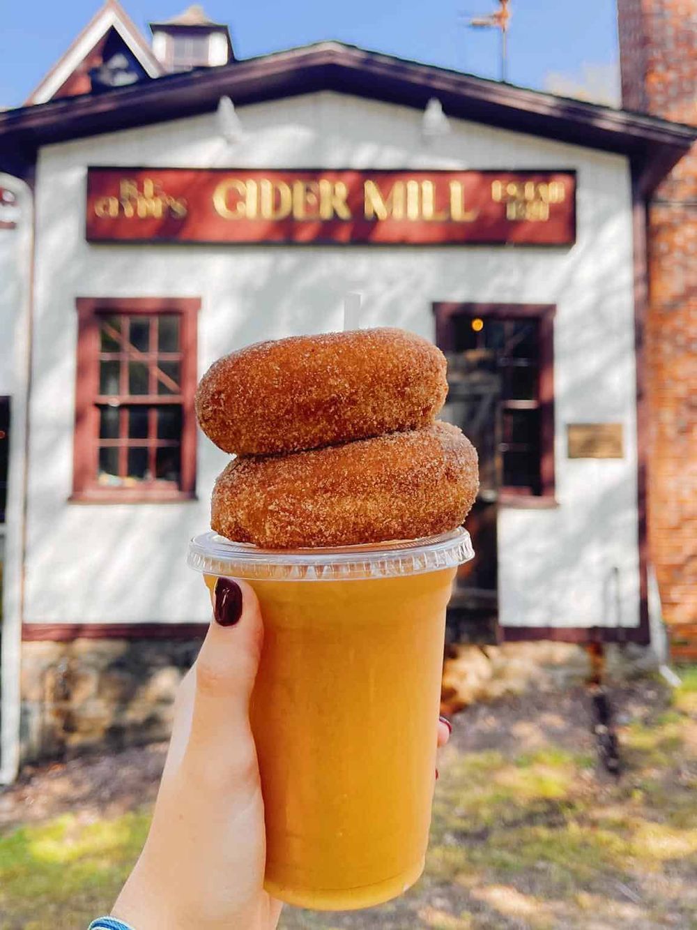 Fresh cider and fried apple cider donuts at a historic cider mill.