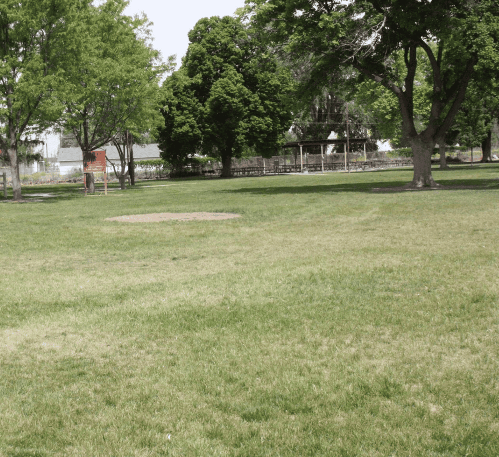 Lush green park with trees and picnic tables, ideal for outdoor activities and community gatherings.