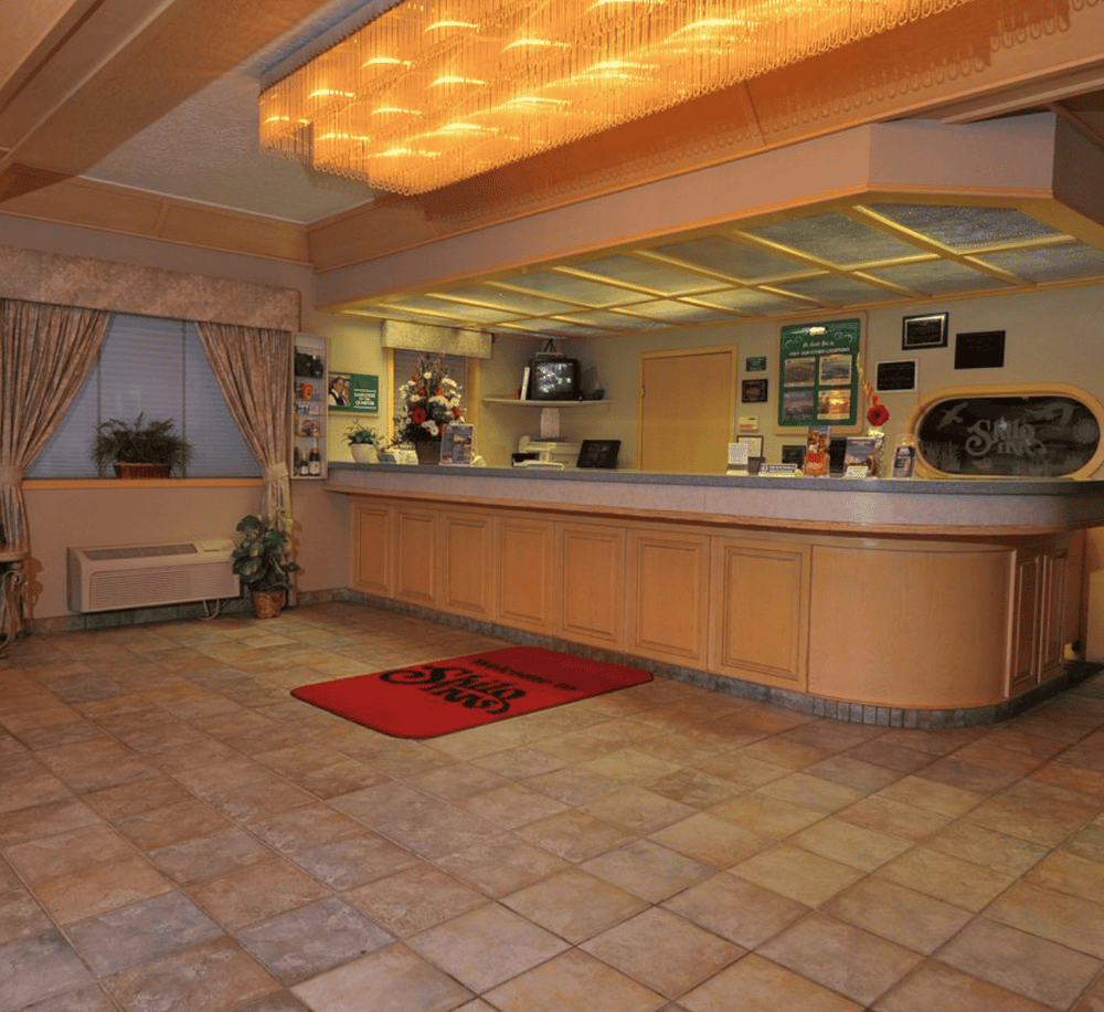 Comfortable hotel lobby reception area with front desk, flowers, and cozy decor, perfect for guest check-in.