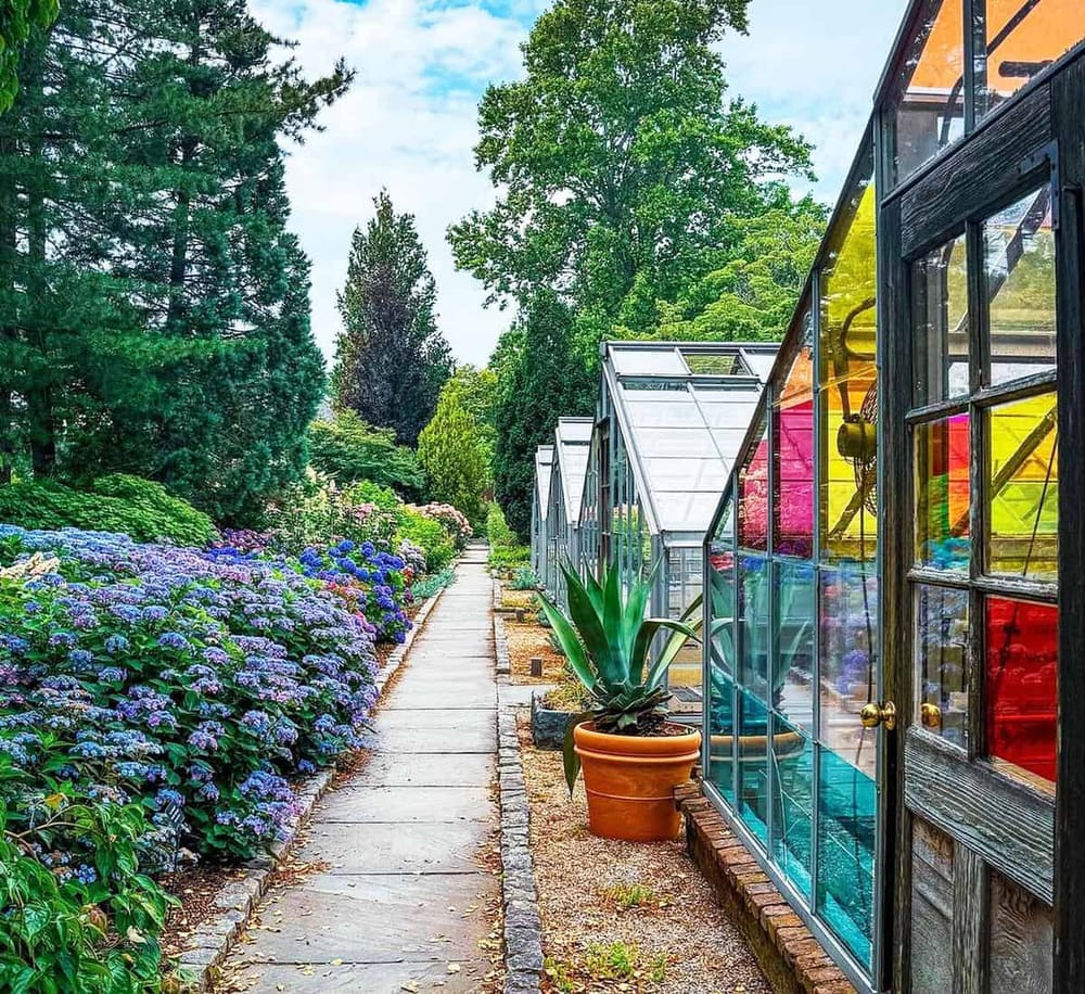 Bright colorful greenhouses with lush garden and flowering plants along a paved pathway.