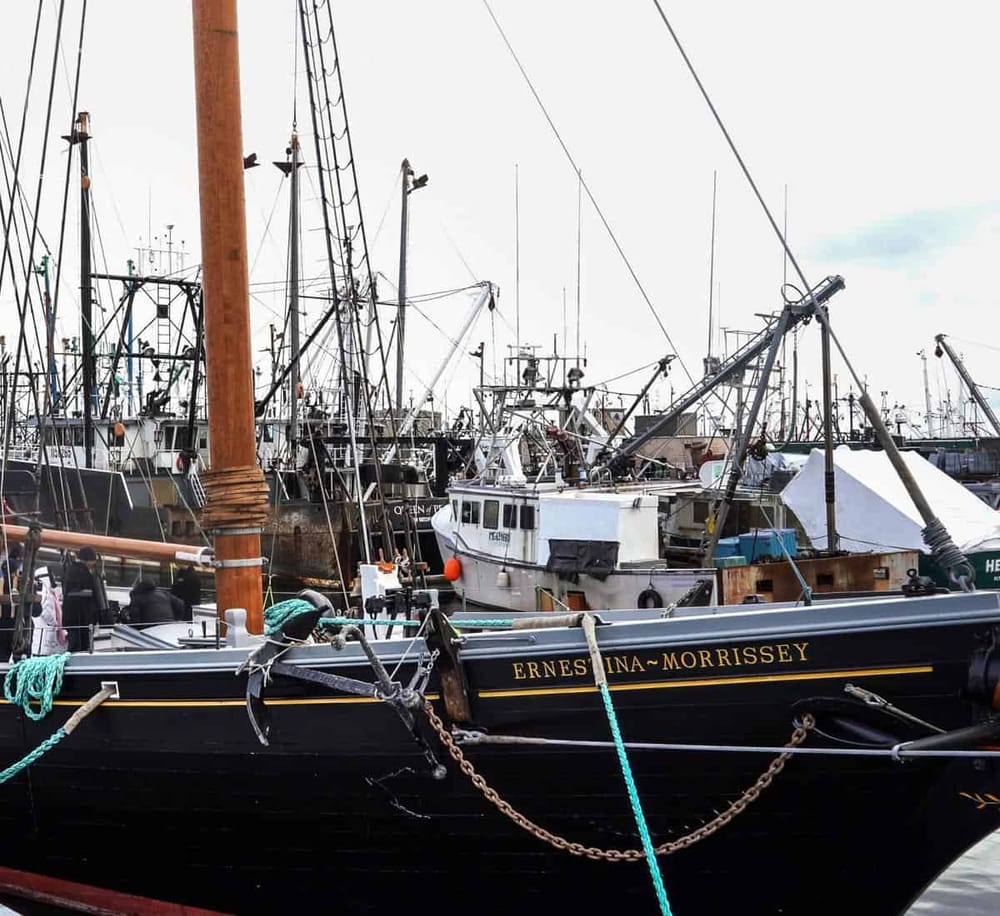 Colorful harbor filled with various boats and yachts docked for sailing adventures.