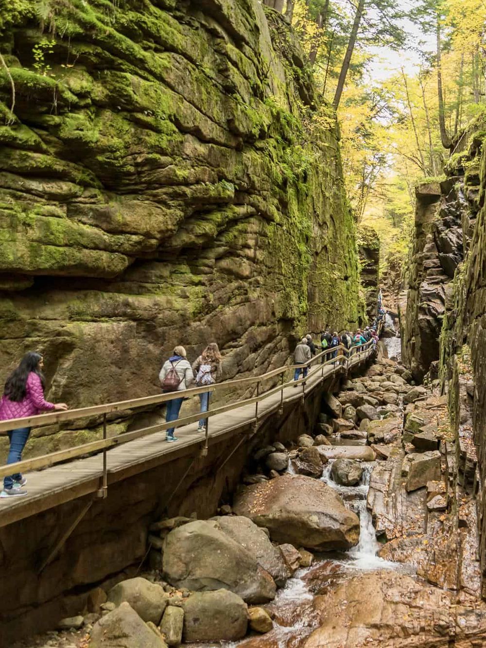 Steep canyon trail with a bridge through lush moss-covered rocks and fall foliage, perfect for hiking adventures.
