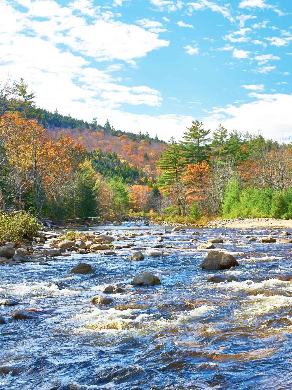 Serene mountain stream surrounded by colorful autumn trees and a blue sky.