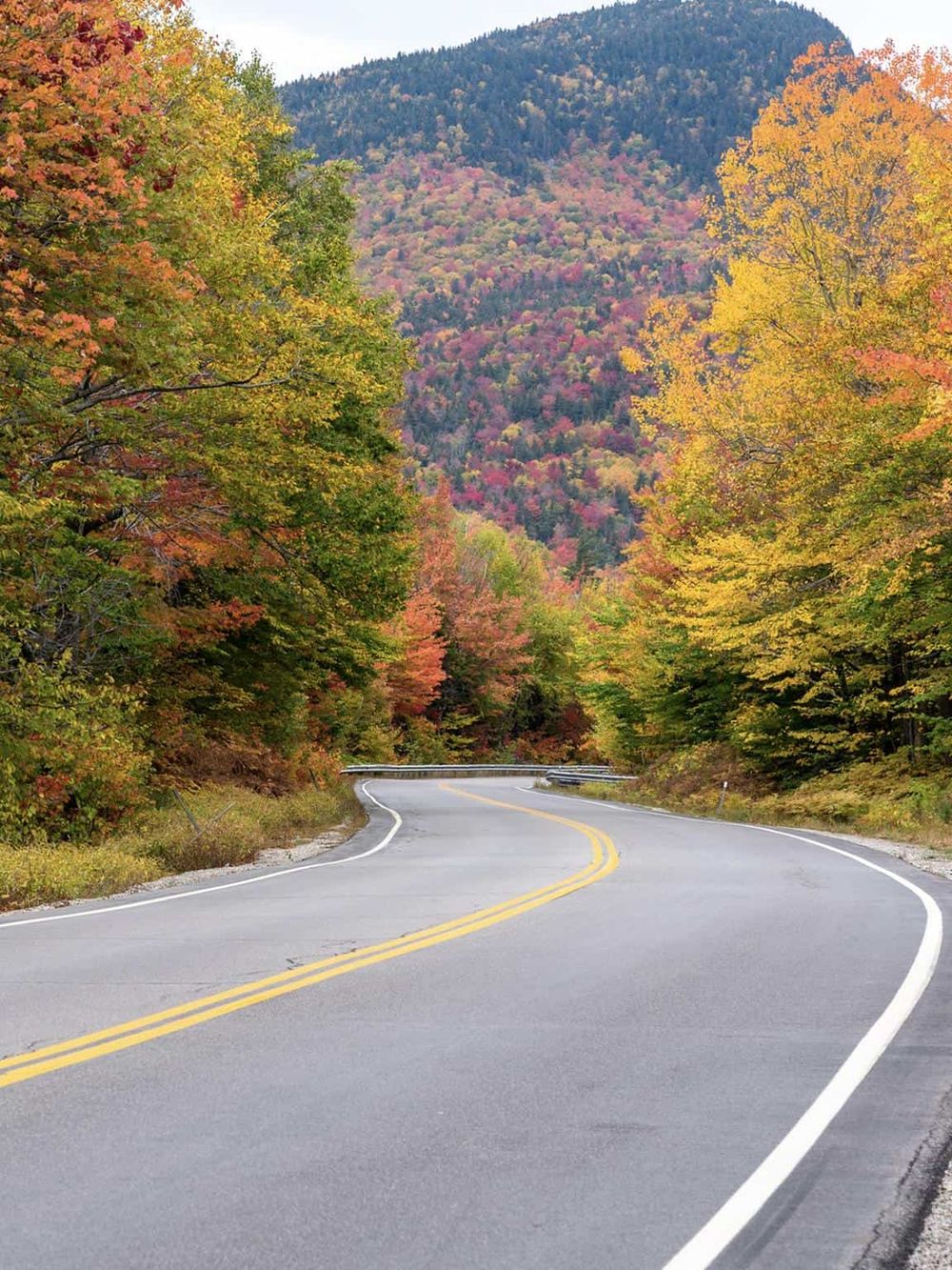 Colorful fall foliage on winding mountain road in scenic outdoor landscape.