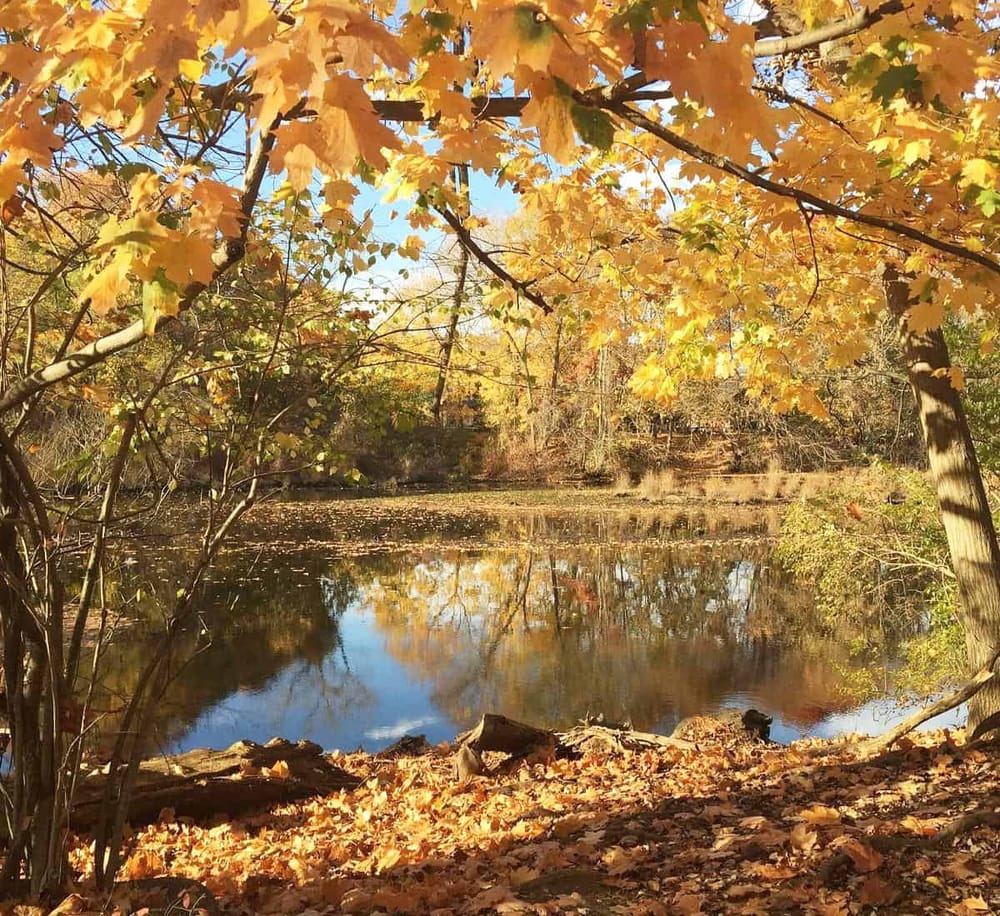 Colorful fall foliage reflecting on a peaceful river scene.
