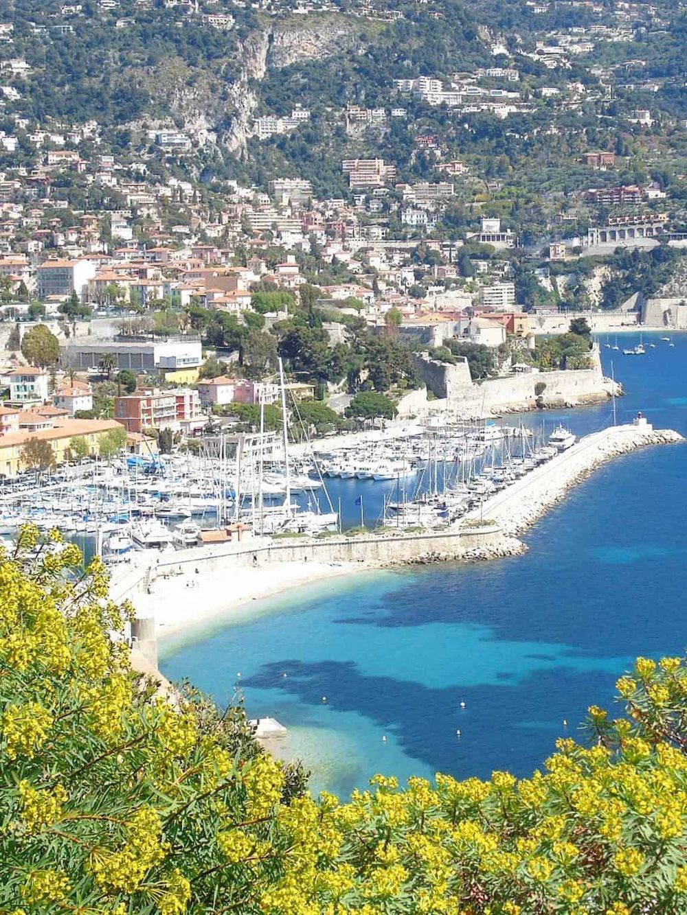 Breathtaking view of Monaco's coastline with marina, colorful buildings, and lush greenery.
