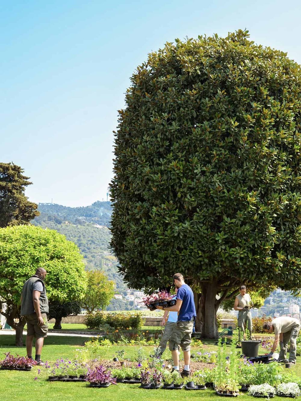 Lush garden with people planting flowers and trees, vibrant greenery, and scenic hills in the background.