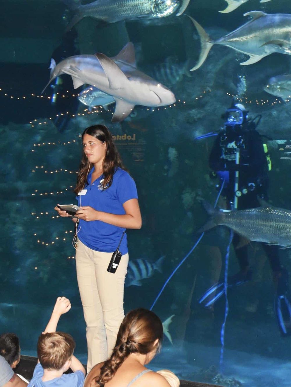 Colorful aquarium tank with sharks and divers, family enjoying marine life display at Quest for Directions.