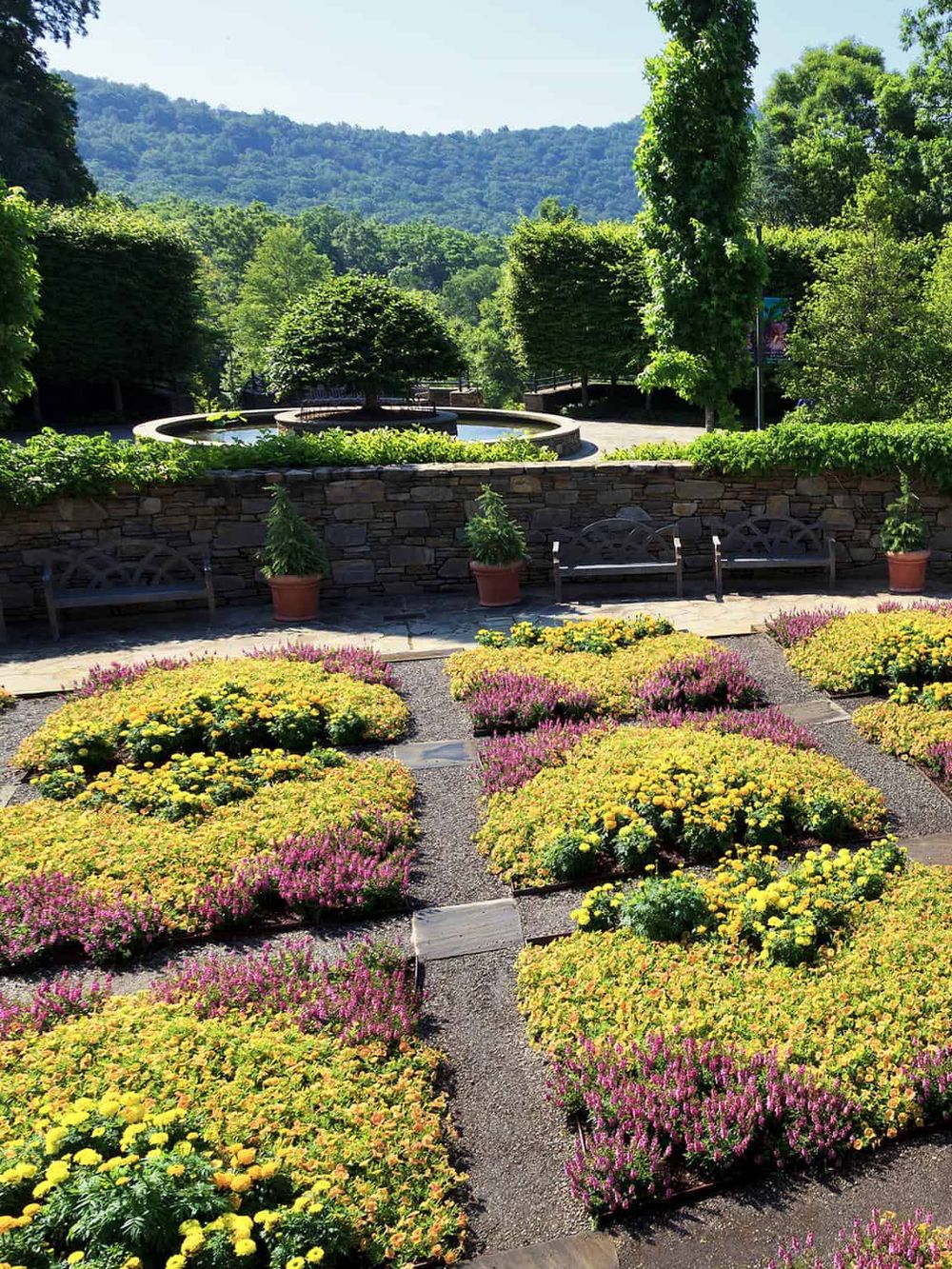 Vibrant flower garden with colorful blooms and lush greenery in scenic outdoor park setting.