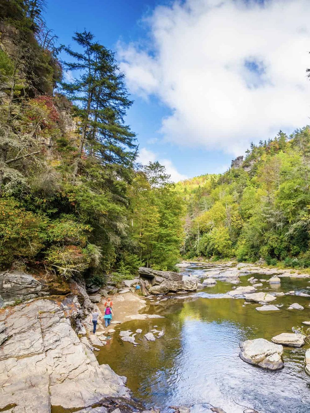 Serene mountain river hiking trail with lush green trees and blue sky in outdoor adventure destination.